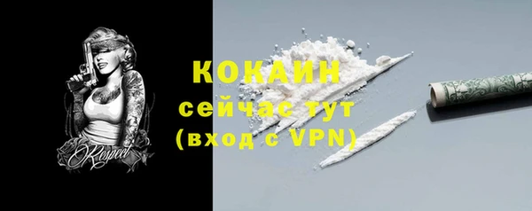 не бодяженный Алексин