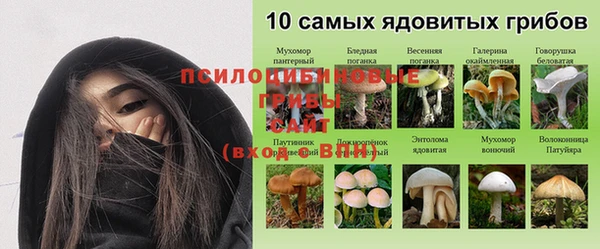 кокаин Алексеевка
