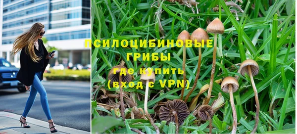 мяу мяу мука Алзамай