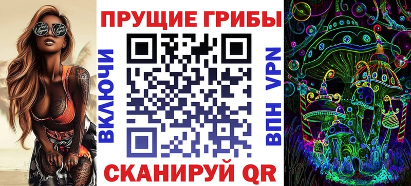 Псилоцибиновые грибы Psilocybine cubensis  Казань 