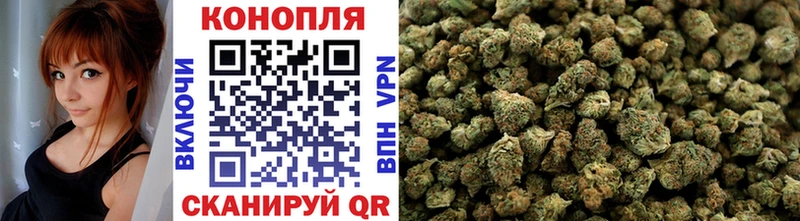 Бошки Шишки ГИДРОПОН  Казань 